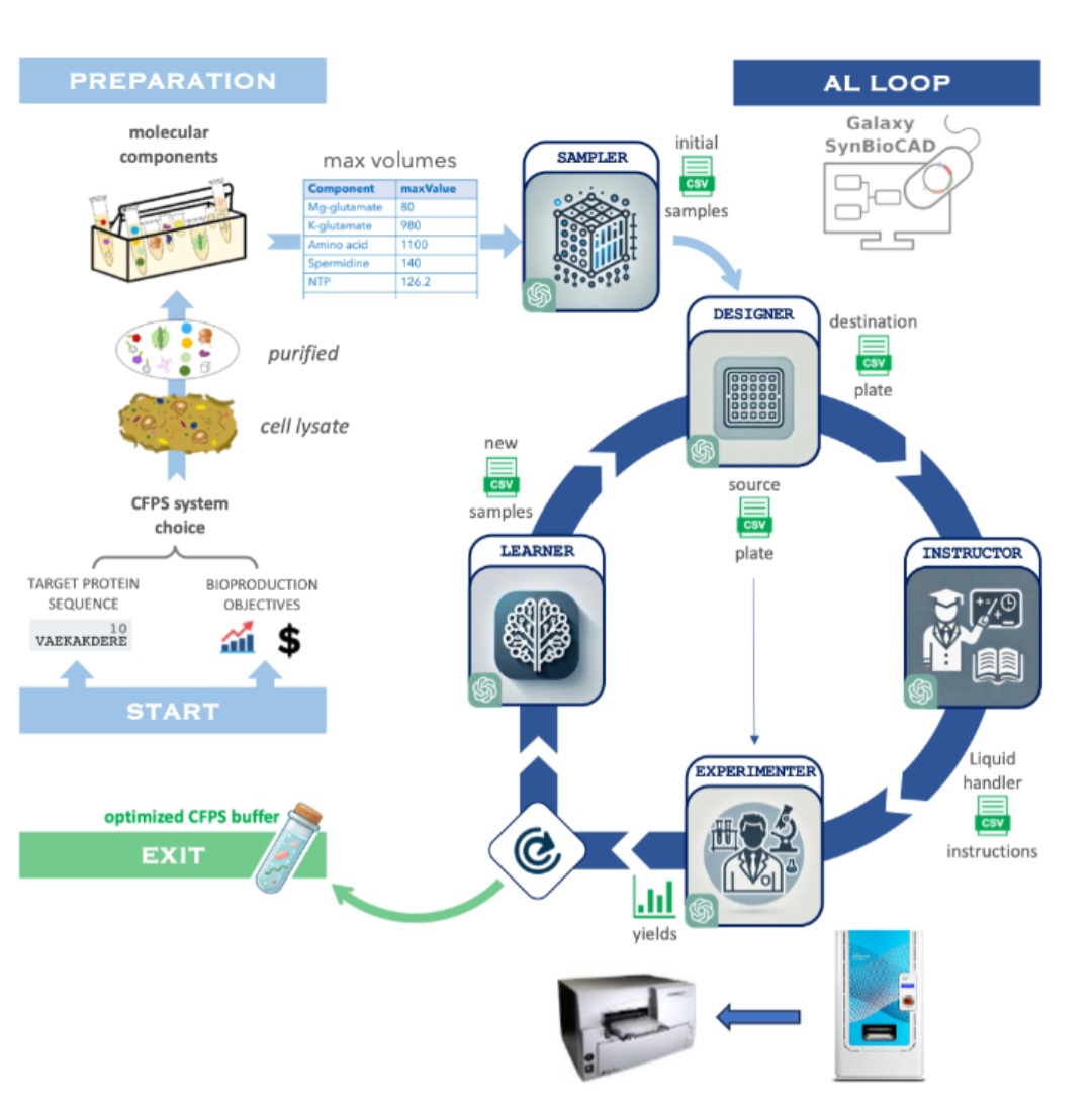 O_Borkowski's tweet image. Operate a Cell-Free Biofoundry using Large Language Models by @jeanloupfaulon Lab

doi.org/10.1101/2024.1…