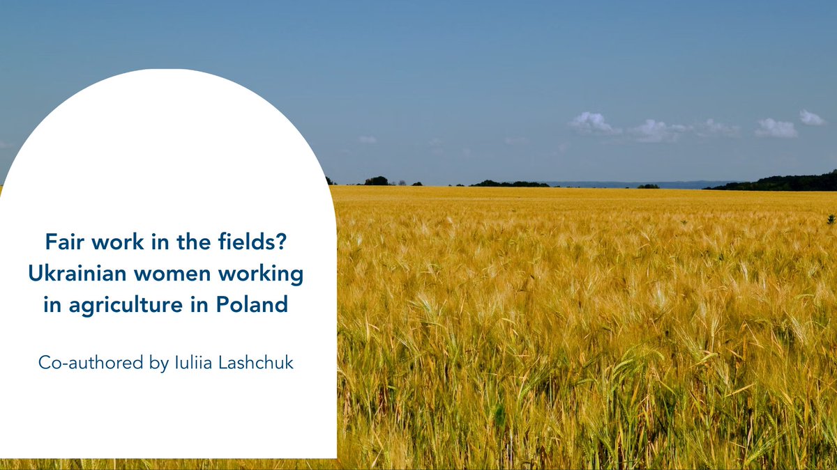 Migration Policy Centre (@mpc_eui) on Twitter photo Since the Russian attack on #Ukraine, Polish farm owners welcomed Ukrainian #migrants, & the proportion of #women in seasonal agricultural work increased. Yet, precarious conditions persist
<a href="/YuliaLashchuk/">Iuliia Lashchuk @yuliala.bsky.social</a> outlines key issues for fair #labour practices 📌 loom.ly/ffT2HkY Since the Russian attack on #Ukraine, Polish farm owners welcomed Ukrainian #migrants, & the proportion of #women in seasonal agricultural work increased. Yet, precarious conditions persist
<a href="/YuliaLashchuk/">Iuliia Lashchuk @yuliala.bsky.social</a> outlines key issues for fair #labour practices 📌 loom.ly/ffT2HkY