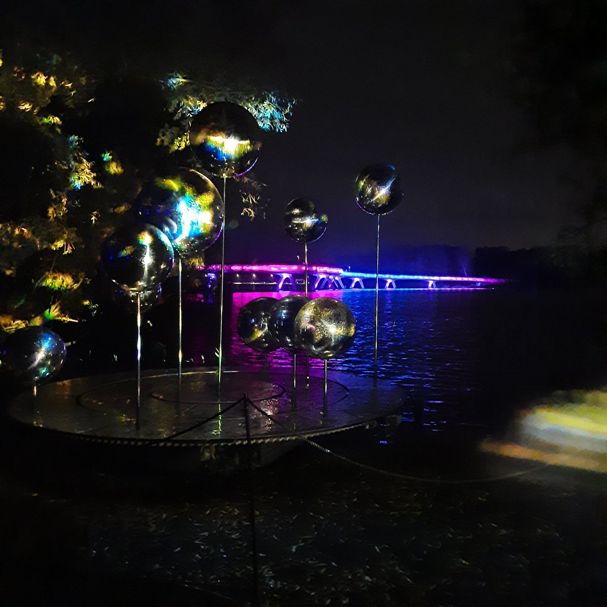 Anneke in Almere tweet media