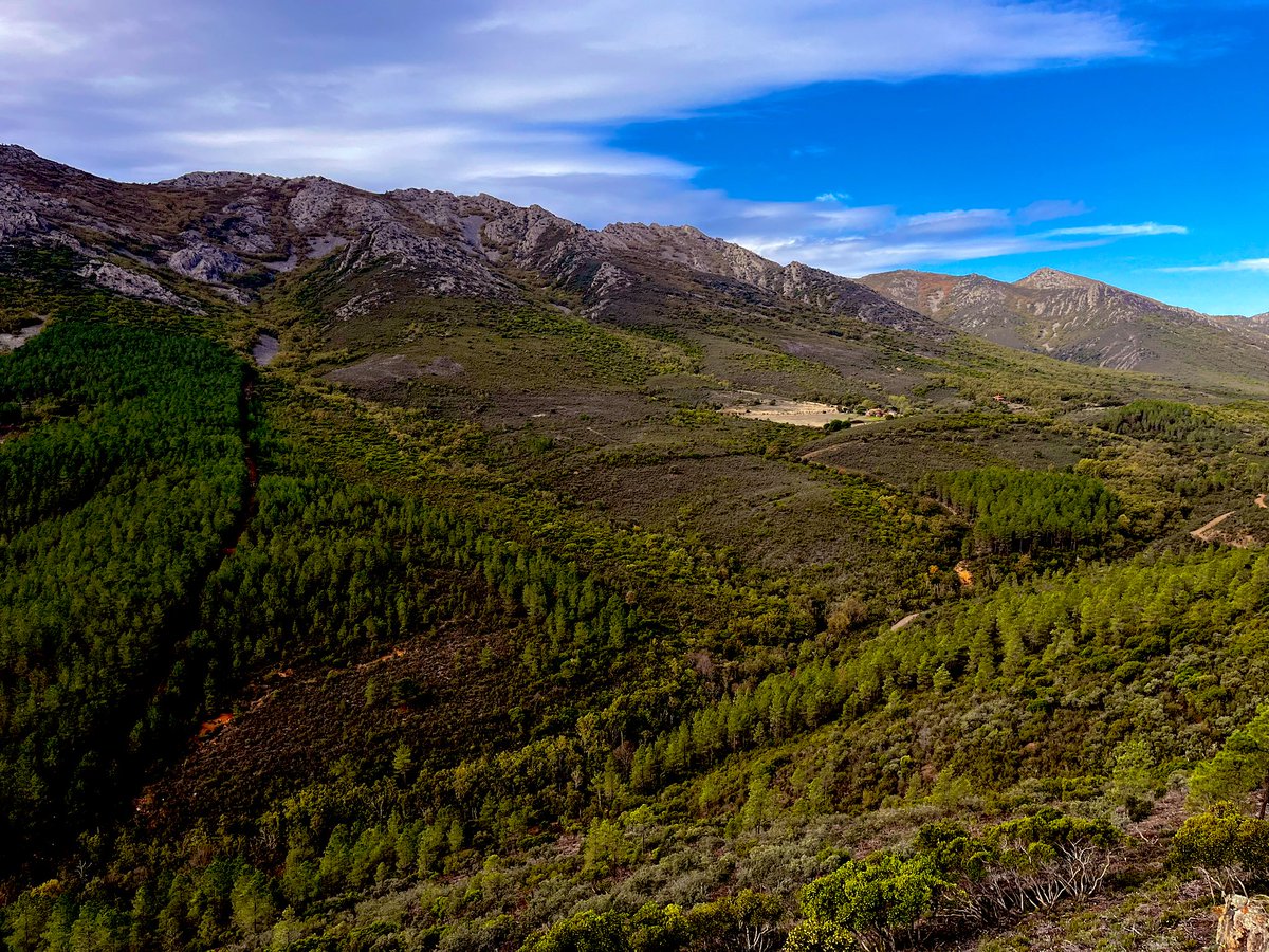 Casi el 40% de las especies de árboles del planeta están amenazadas de extinción.. ¡16.425! Y las que no conocemos. .. Hoy en <a href="/LaVanguardia/">La Vanguardia</a>. 
👉🏾 lavanguardia.com/natural/202410…