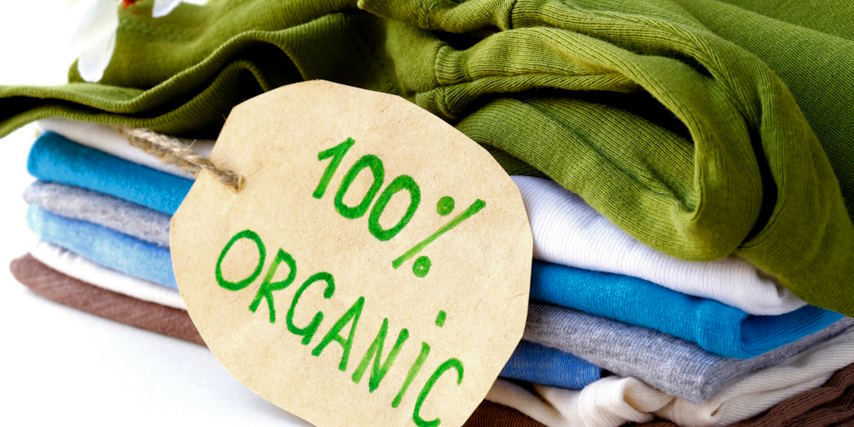 thegrapevine_tv's tweet photo. Eco-Friendly Sportswear: A Sustainable Shift in the Fitness Industry

https://t.co/yGGQiN3KTO

#newsheadlines #news #breakingnews #headlines #latestnews #newsupdate #dailynews #newspaper #instanews #update #currentaffairs #newsinshort #trending #worldnews #newstoday https://t.co/nKEPUBwRsS