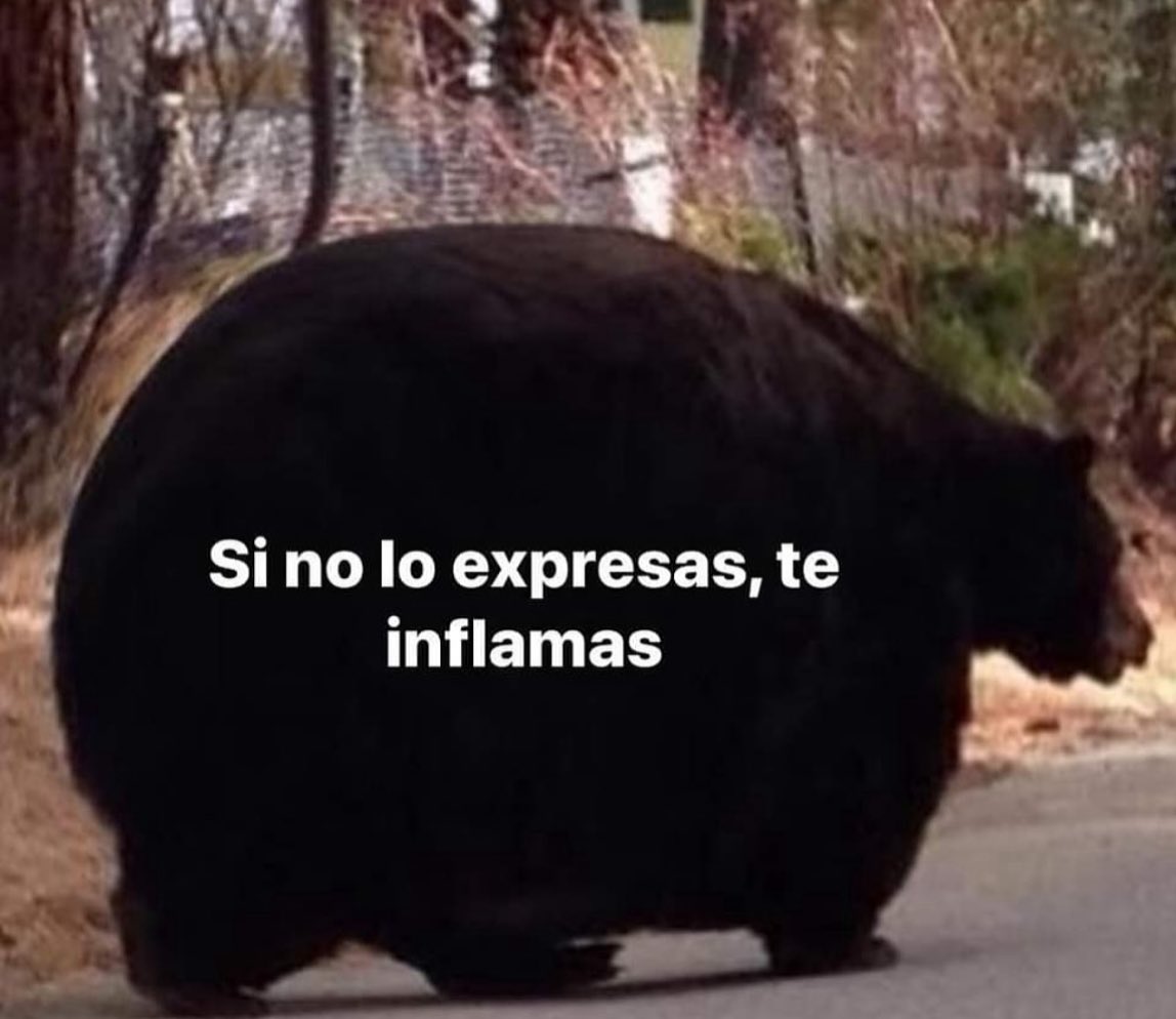 skereunpesado's tweet photo. https://t.co/5ZeL6vZCUQ