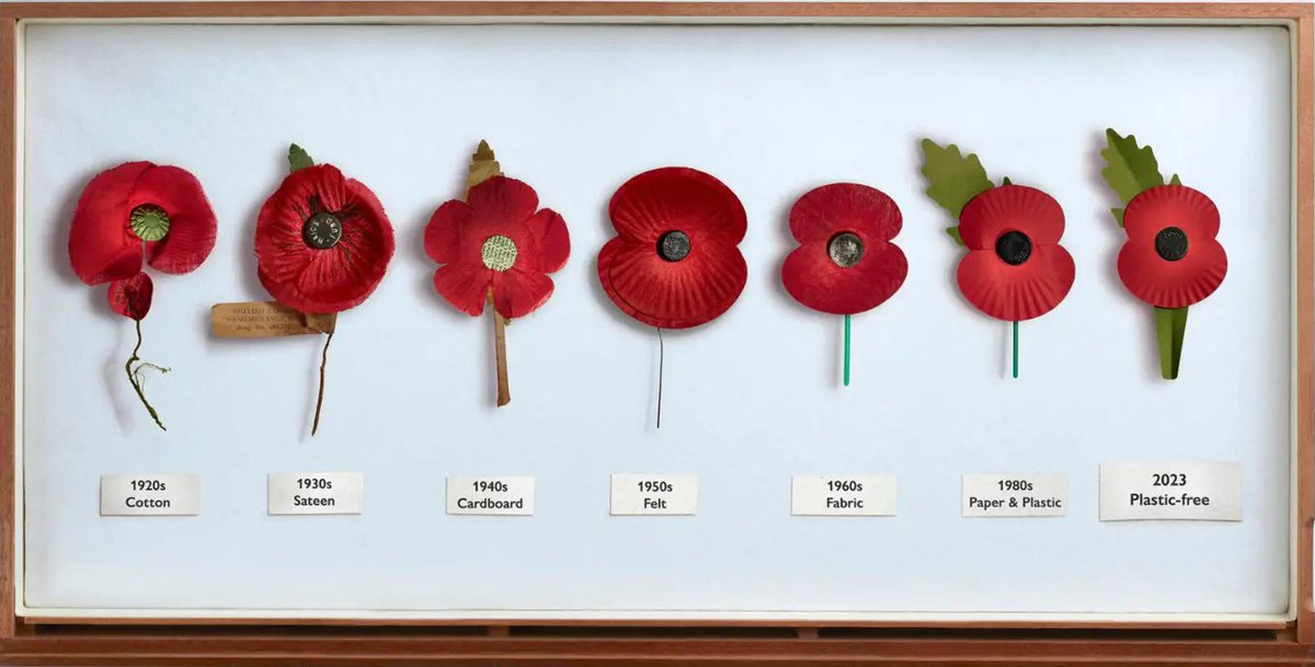 Natalie P (@tamoralady) on Twitter photo Over 100yrs of remembrancešŗthe <a href="/PoppyLegion/">Royal British Legion</a> poppy has evolved from a symbol of WWI sacrifice. Wear yours with pride and remember all who served for our freedom #RemembrancePoppy #LestWeForget #WeWillRememberThem Over 100yrs of remembrancešŗthe <a href="/PoppyLegion/">Royal British Legion</a> poppy has evolved from a symbol of WWI sacrifice. Wear yours with pride and remember all who served for our freedom #RemembrancePoppy #LestWeForget #WeWillRememberThem