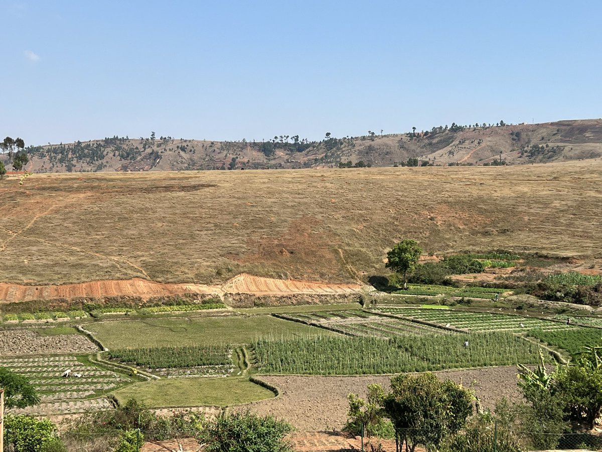Jo-Ann Passmore (@mucosalgroup) on Twitter photo Lots of excitement today as we find out how well the <a href="/GIFT_for_Africa/">GIFT for Africa</a> first in field device works - amongst the “wildlife of Madagascar. Beautiful view for a investigators meeting <a href="/EDCTP/">EDCTP</a> <a href="/pasteurMG/">Institut Pasteur Madagascar🇲🇬</a> <a href="/micaela_lurie/">miclur</a> <a href="/LindiMasson/">Lindi Masson</a> <a href="/SMusalula/">Sinkala Musalula</a> <a href="/UCTIDM/">UCT IDM</a> Lots of excitement today as we find out how well the <a href="/GIFT_for_Africa/">GIFT for Africa</a> first in field device works - amongst the “wildlife of Madagascar. Beautiful view for a investigators meeting <a href="/EDCTP/">EDCTP</a> <a href="/pasteurMG/">Institut Pasteur Madagascar🇲🇬</a> <a href="/micaela_lurie/">miclur</a> <a href="/LindiMasson/">Lindi Masson</a> <a href="/SMusalula/">Sinkala Musalula</a> <a href="/UCTIDM/">UCT IDM</a>