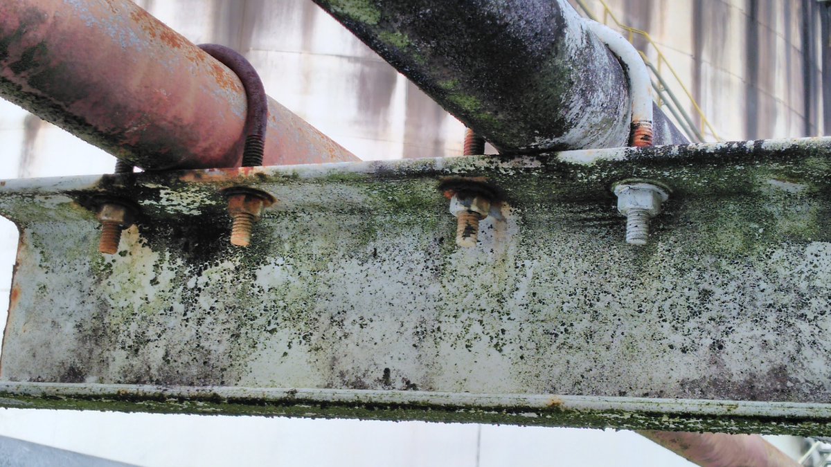 CogbillConstruc's tweet image. Supporting large-diameter pipes comes with unique challenges. Learn how RedLineIPS solutions help overcome these obstacles to ensure the longevity and safety of industrial piping systems. 🔧
Read the full article here: redlineips.com/non-metallic-c…
#pipe