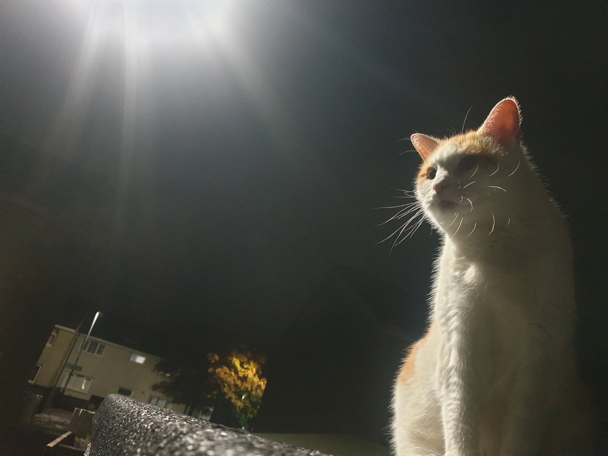 Paul " McBryde ? tweet media