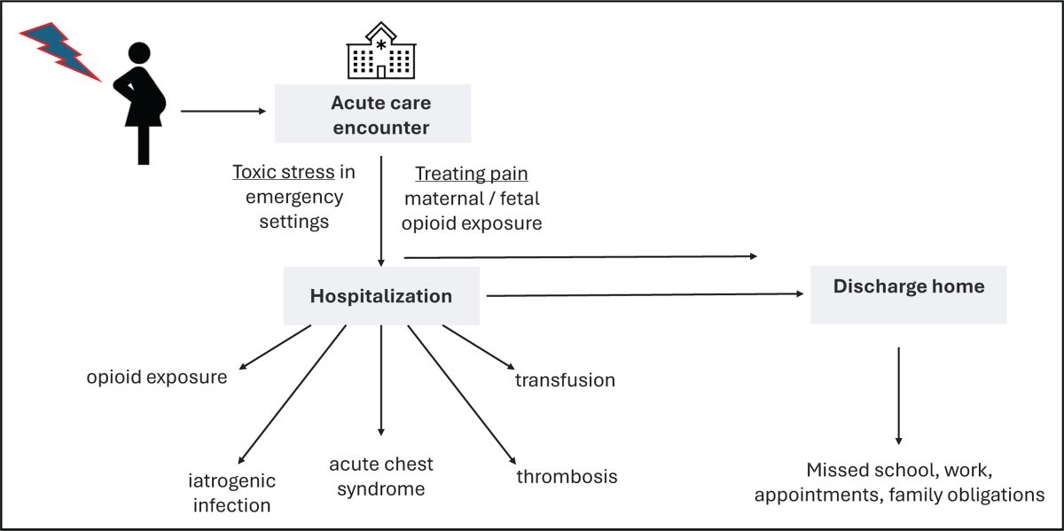 CO Hematology (@co_hematology) on Twitter photo Prophylactic #redcell transfusions for #sicklecelldisease #pregnancy: increased use of therapy could transform outcomes!
Sheinei Alan <a href="/InovaSchar/">Inova Schar Cancer Institute</a> et al. advise a care paradigm prioritising nonselective & low risk treatment to overcome barriers.
🔗 ow.ly/REu050TNB4K Prophylactic #redcell transfusions for #sicklecelldisease #pregnancy: increased use of therapy could transform outcomes!
Sheinei Alan <a href="/InovaSchar/">Inova Schar Cancer Institute</a> et al. advise a care paradigm prioritising nonselective & low risk treatment to overcome barriers.
🔗 ow.ly/REu050TNB4K
