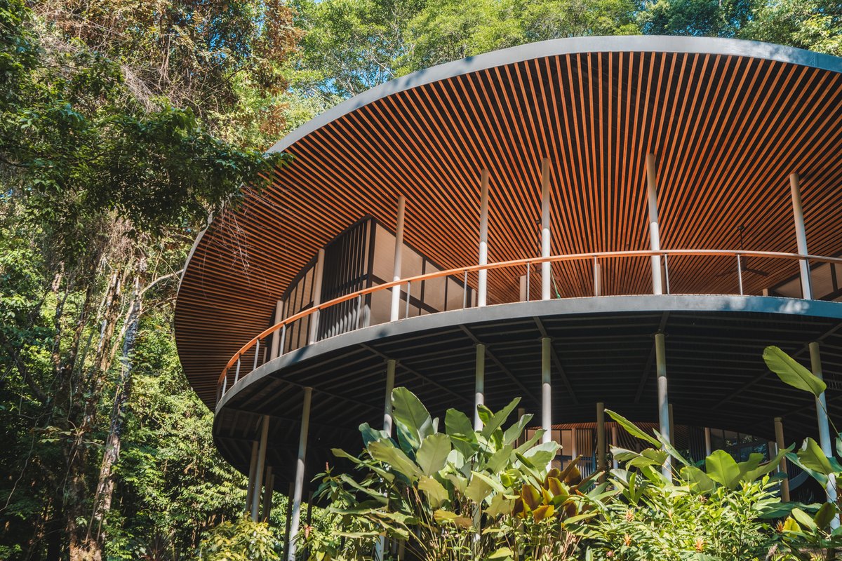The #design concept of Sinfonia Verde #Home is inspired by the rainforest: a dense, multi-layered environment with dark, disorienting areas that open to reveal towering trees. ow.ly/R4Iw50TUcNW