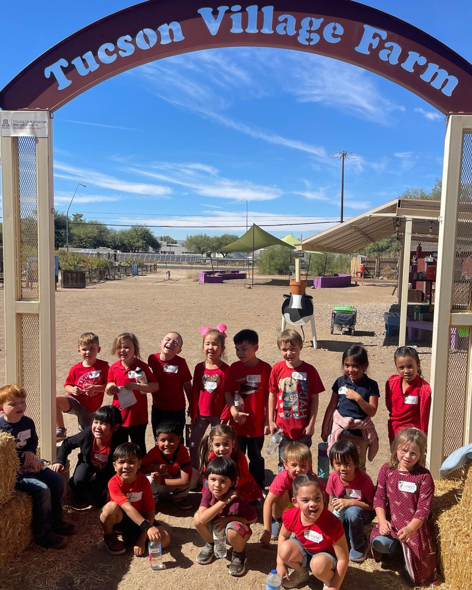SSATucson's tweet image. 🌱 Kindergarteners had a fantastic time on their first field trip to Tucson Village Farm! This seed-to-table program teaches young learners about healthy food systems. Our students were amazing on their first off-campus adventure! 🚌🥕 #FieldTripFun #HealthyKids #SeedToTable