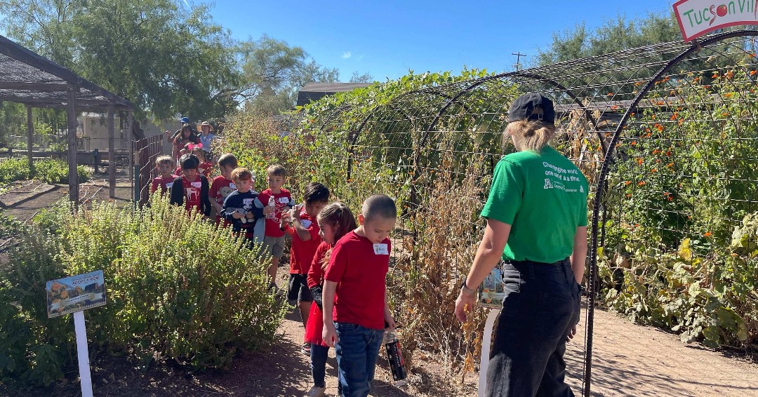 SSATucson's tweet image. 🌱 Kindergarteners had a fantastic time on their first field trip to Tucson Village Farm! This seed-to-table program teaches young learners about healthy food systems. Our students were amazing on their first off-campus adventure! 🚌🥕 #FieldTripFun #HealthyKids #SeedToTable