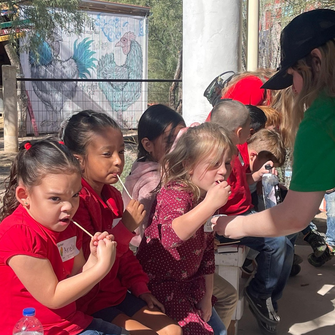 SSATucson's tweet image. 🌱 Kindergarteners had a fantastic time on their first field trip to Tucson Village Farm! This seed-to-table program teaches young learners about healthy food systems. Our students were amazing on their first off-campus adventure! 🚌🥕 #FieldTripFun #HealthyKids #SeedToTable