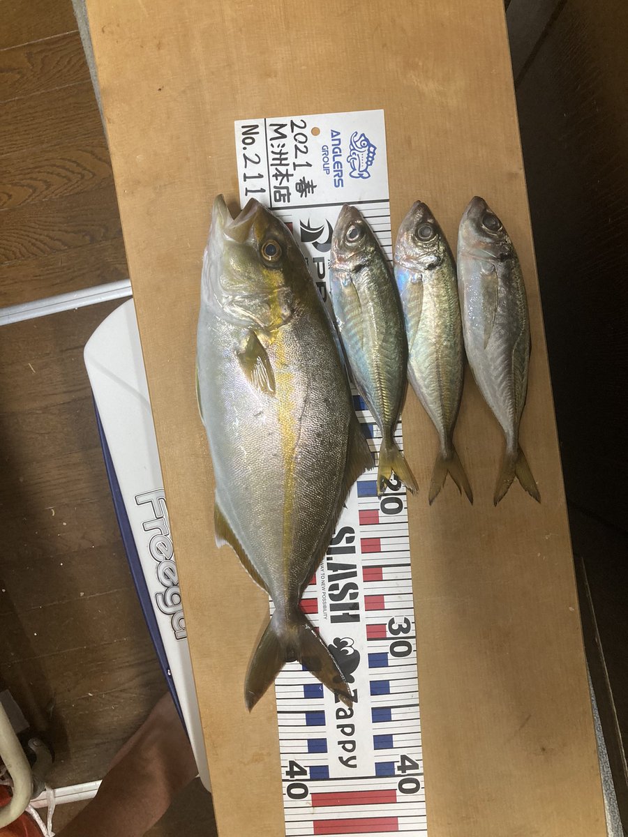 yasu0807wata's tweet photo. アジング中の事故、1mくらいぶっこ抜��笑 https://t.co/Mh8jgvgBVO