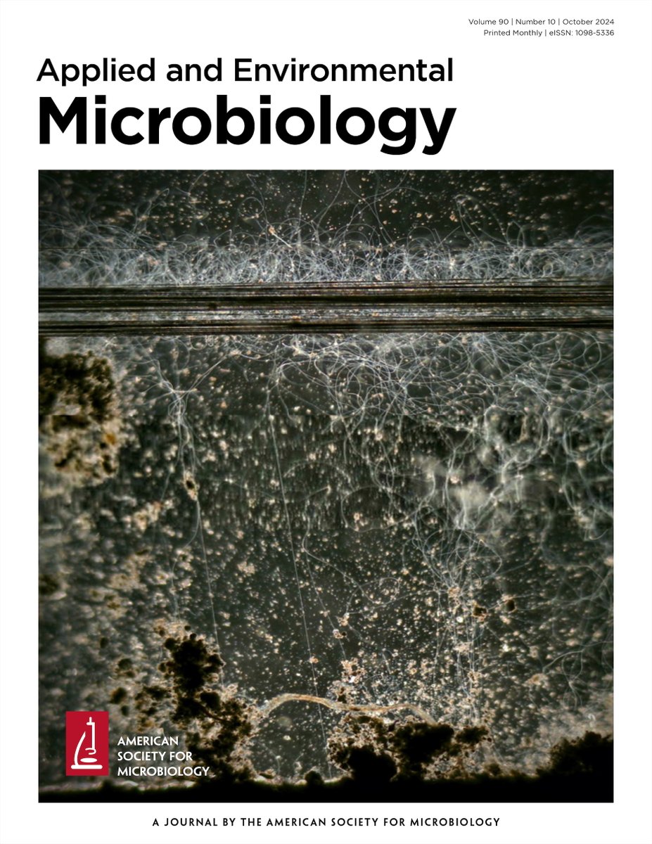 Center for Electromicrobiology (@cemaarhus) on Twitter photo Exciting news!
Our publication on cable bacteria is featured on the cover of <a href="/AppEnvMicro/">AppEnvMicro journal</a>. We demonstrate the interaction of living cable bacteria with electrodes. You can find the paper here: journals.asm.org/doi/10.1128/ae…. Congratulations to all involved. Exciting news!
Our publication on cable bacteria is featured on the cover of <a href="/AppEnvMicro/">AppEnvMicro journal</a>. We demonstrate the interaction of living cable bacteria with electrodes. You can find the paper here: journals.asm.org/doi/10.1128/ae…. Congratulations to all involved.
