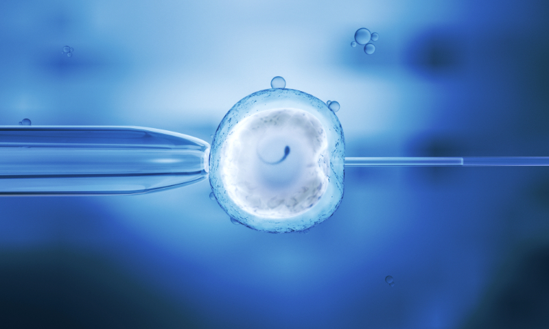 globaltimesnews's tweet image. China has accelerated efforts to expand medical insurance coverage for assisted #reproductive technology services, with more than 20 provincial-level regions officially including these services in their health #insurance coverage, as part of a series of measures to encourage…