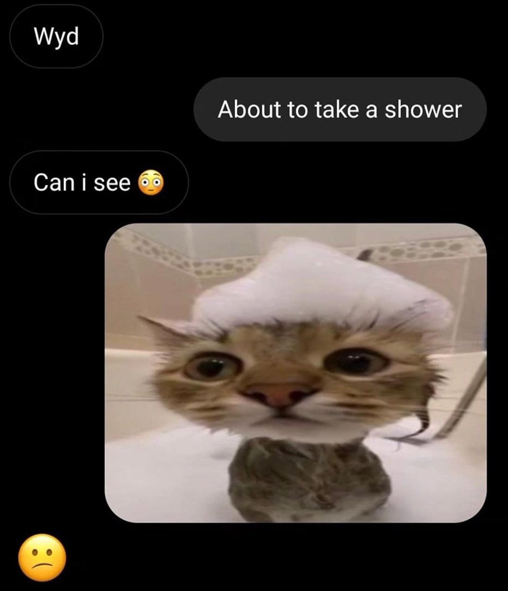 Punch Cat (@punchingcat) on Twitter photo 