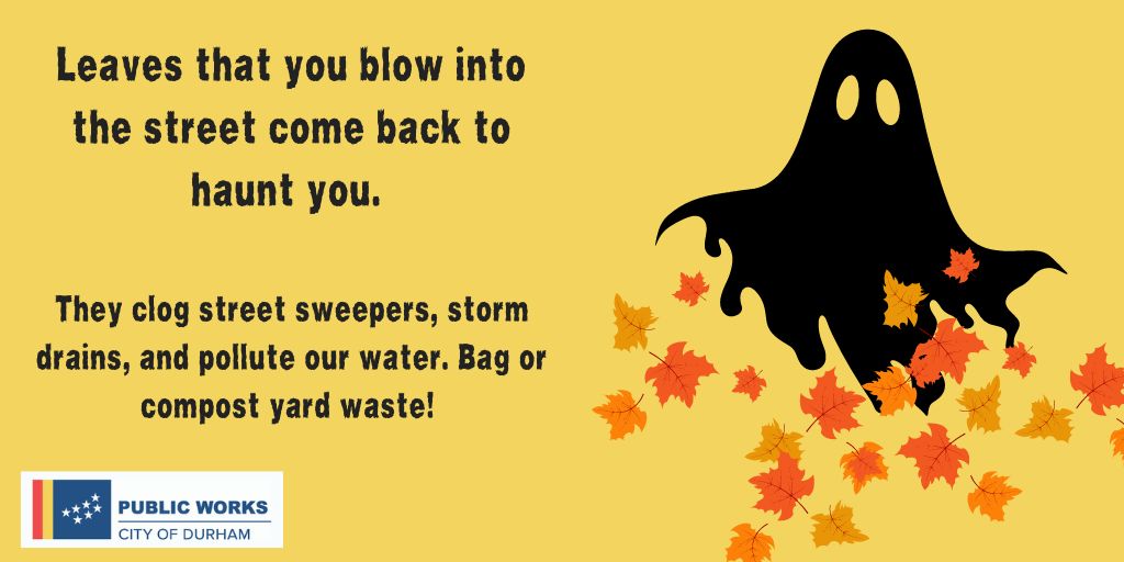 Leave your leaves where they fall under trees or gather them in City of Durham yard waste bins. Help prevent nutrient pollution in our waterways!