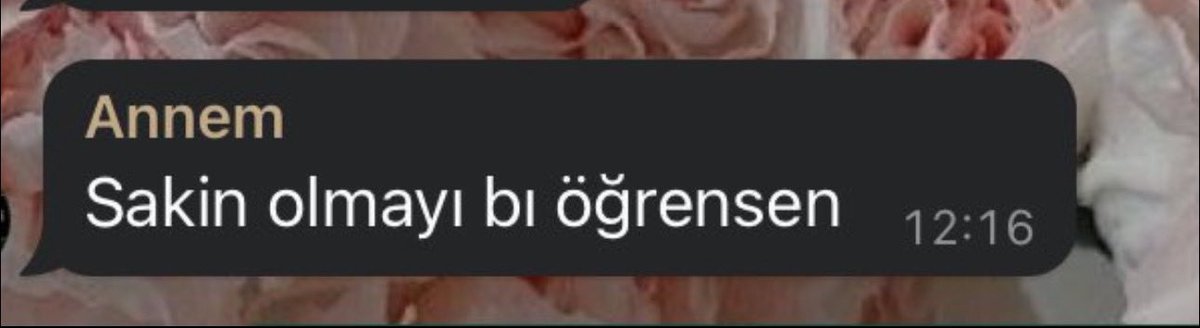 tmm da öğretmedin ki