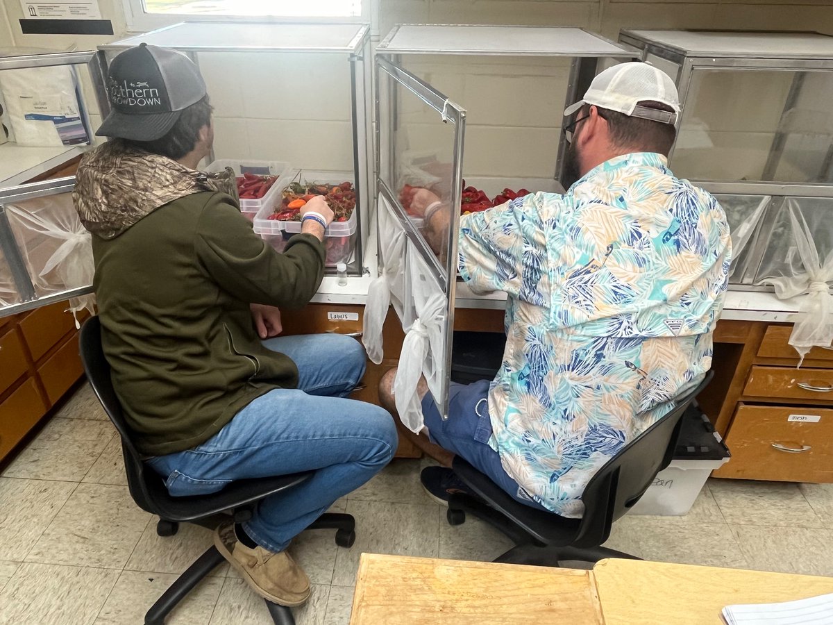 Saumik Basu tweet media