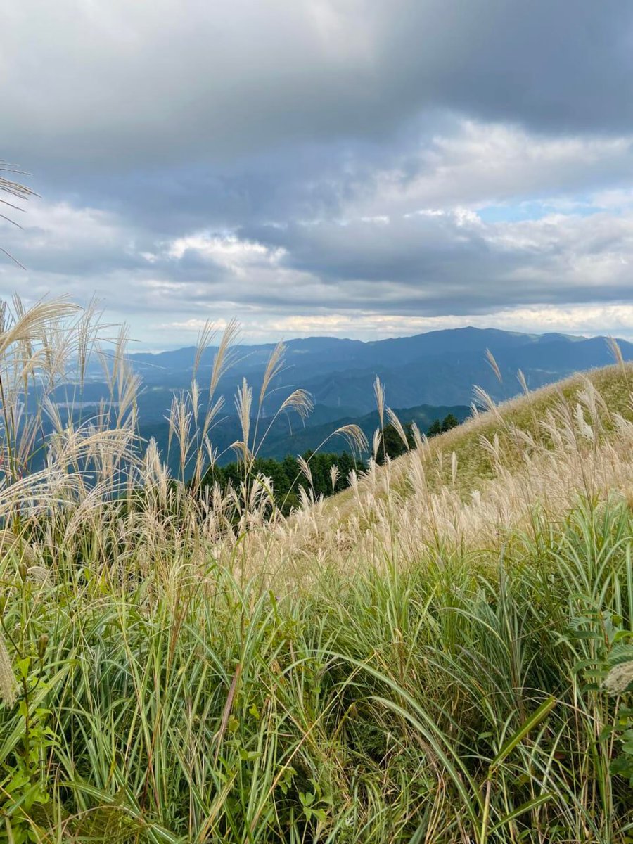 Mathiaz66283390's tweet photo. 大阪の岩湧山はやっと涼しくなって、また登山ができる季節になりました！⛰️🍂
今回のルートは、南海紀見駅→岩湧寺→岩湧山山頂→滝畑ダムバス停で、約7時間歩きました🥰
1. #岩湧山
2. #大阪
3. #ハイキング
4. #自然
6. #風景
7. #登山
8. #アウトドア
9. #旅行
10. #癒し https://t.co/bSp4U84lMJ