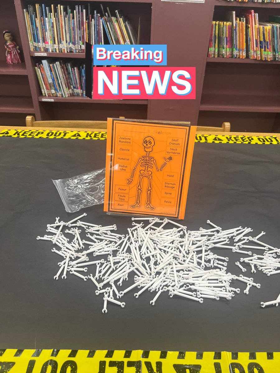 TigersLMCAldine's tweet photo. 💀 Spooky #STEMStation 🎃 Explore the skeletal system + Día de Los Muertos! This week we are diving into bone structure, cultural traditions, &amp; hands-on learning—bringing science, art, &amp; culture together in one spot. 👻  #CKLA #AldineImpact @Thompson_Aldine @aldinelibraries https://t.co/HYll8kCgUI