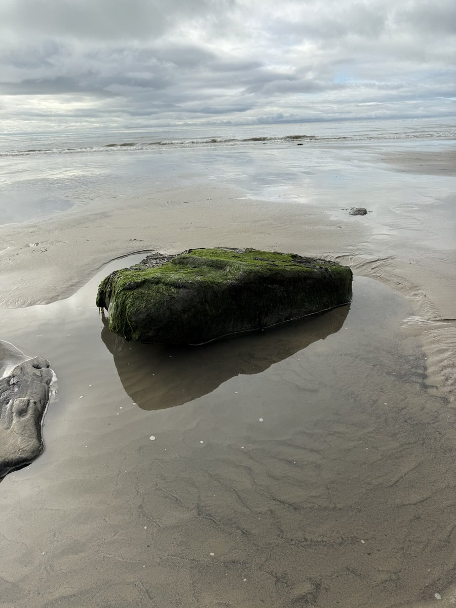 Morning stroll from Charmouth to Lyme Regis