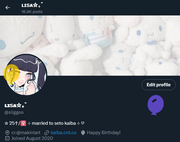 🩵🌻 tweet media