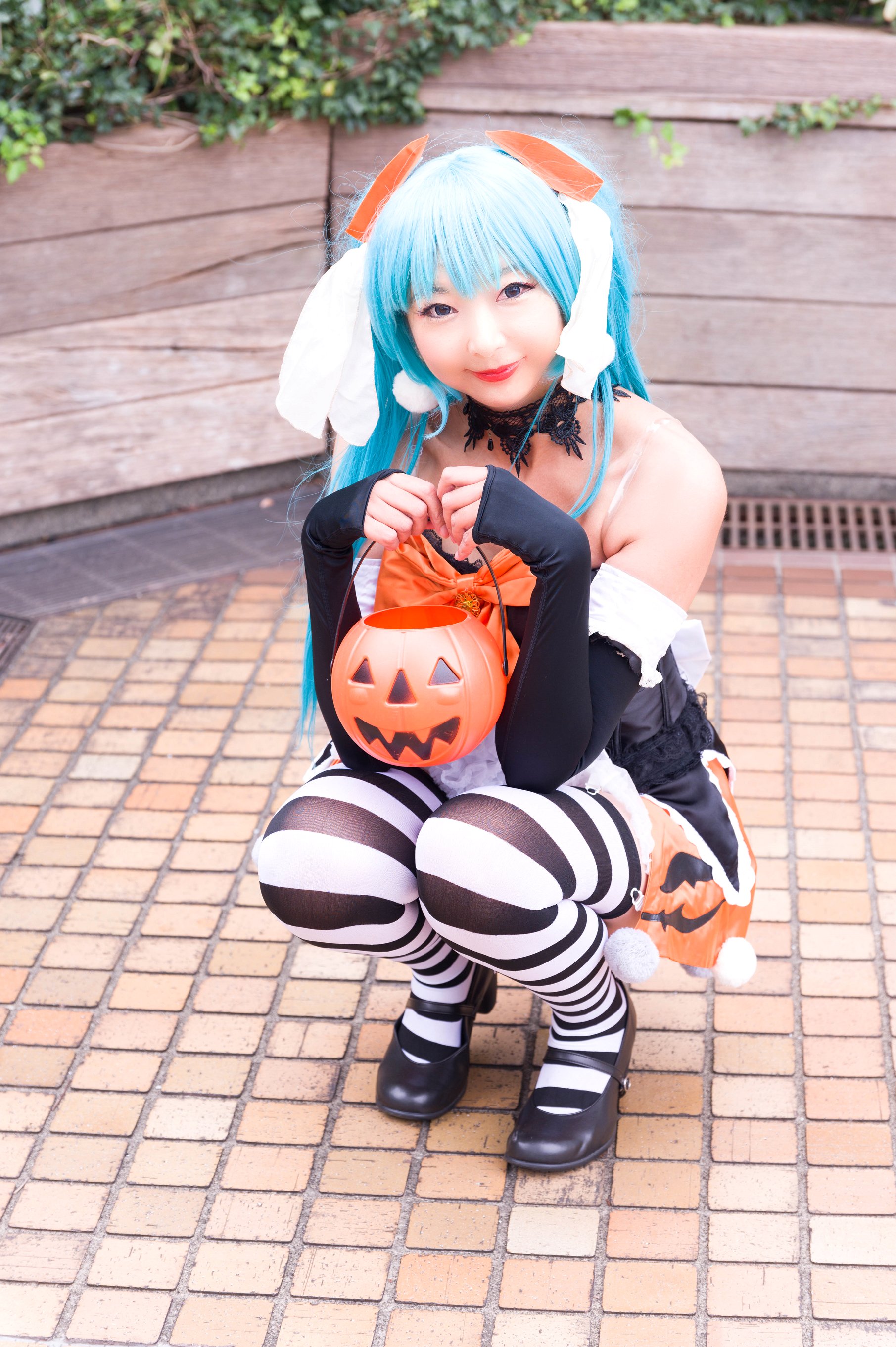 ねここ ねここ。(@kudarizakamaigo) さんのマンガ一覧 | ツイコミ(仮)