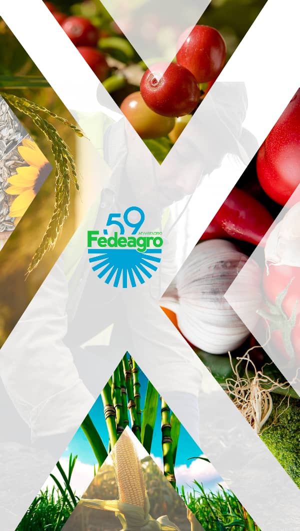 Hoy <a href="/FEDEAGRODIGITAL/">FEDEAGRO | SEMBRANDO FUTURO</a> celebra su 59 Aniversario

Mi abrazo,respeto y reconocimiento a todos mis amigos productores miembros, a sus autoridades Presidente <a href="/celsof64/">Celso Fantinel</a> , sus Directivos y Asociaciones afiliadas, 59 años de tradición sembrando futuro🎂🌱🇻🇪

La Asociatividad es el camino