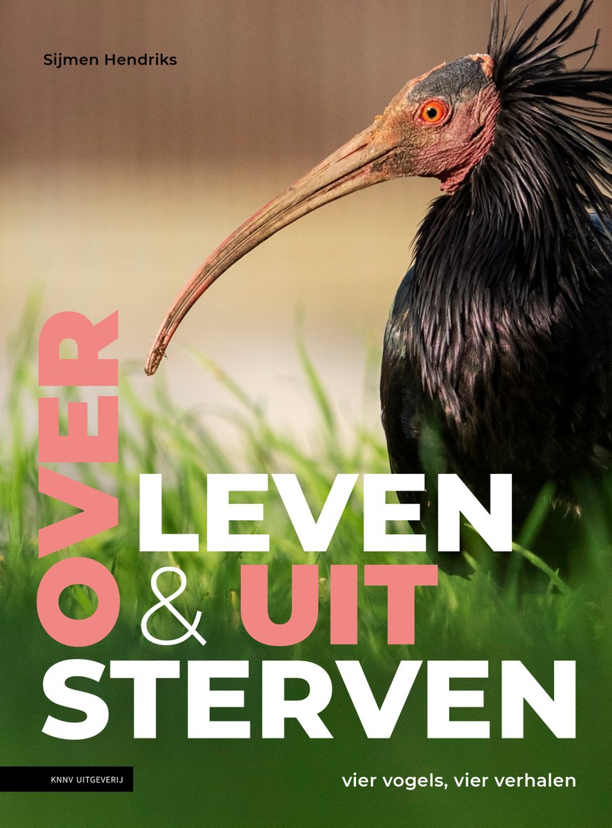 “Sijmen Hendriks fotografeerde 4 vogelsoorten en laat zien hoe zij overleven of juist niet. Het resultaat is te bewonderen in de tentoonstelling ’Over leven en uitsterven’ in Kasteel Groeneveld en in zijn gelijknamige boek.” - De Gooi en Eemlander tinyurl.com/ywx52s4c #vogels