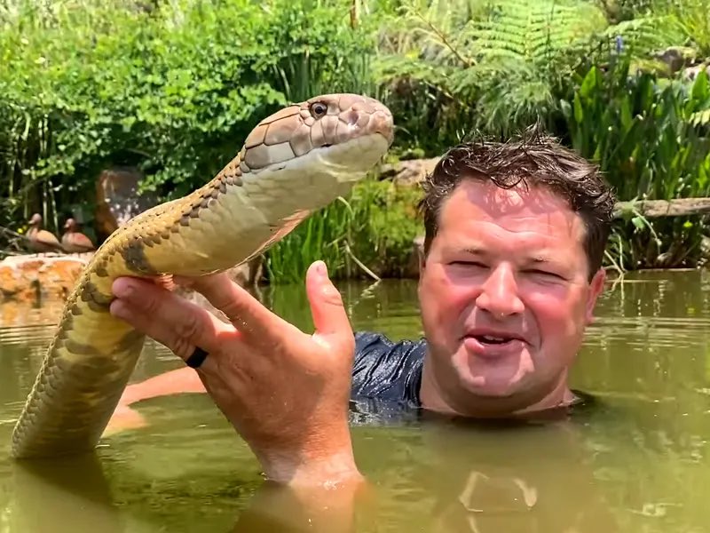 Dexerto's tweet photo. YouTuber Dingo Dinkelman, known as ‘South Africa’s Steve Irwin’, has died at age 44 after a cobra attack https://t.co/Ndojj7RE22