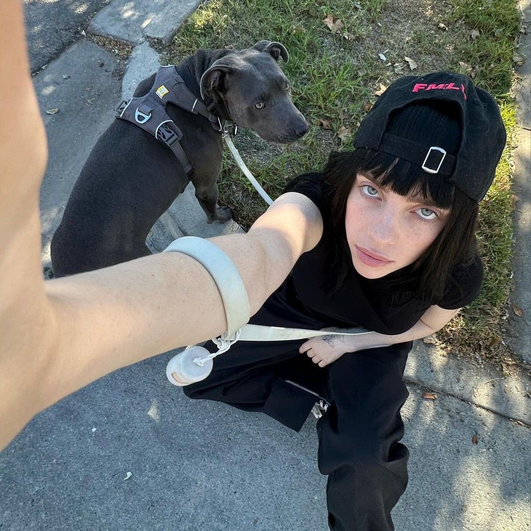 prussaarts's tweet photo. 0.5 billie selfies need to come back! https://t.co/UePDpGJfoN