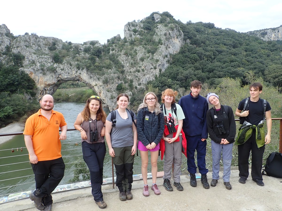 Merops Field Studies tweet media