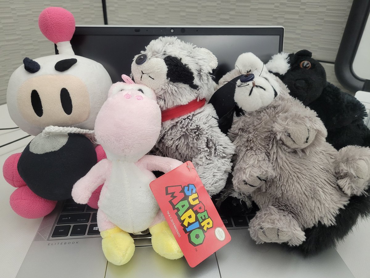 FluffyKitaro's tweet photo. https://t.co/x3ryi3jSbr