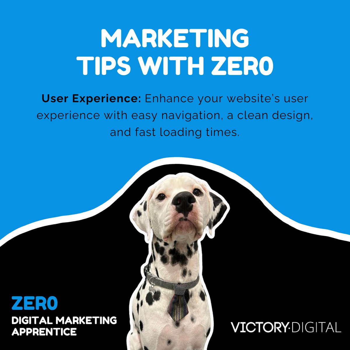 Victory Digital tweet media