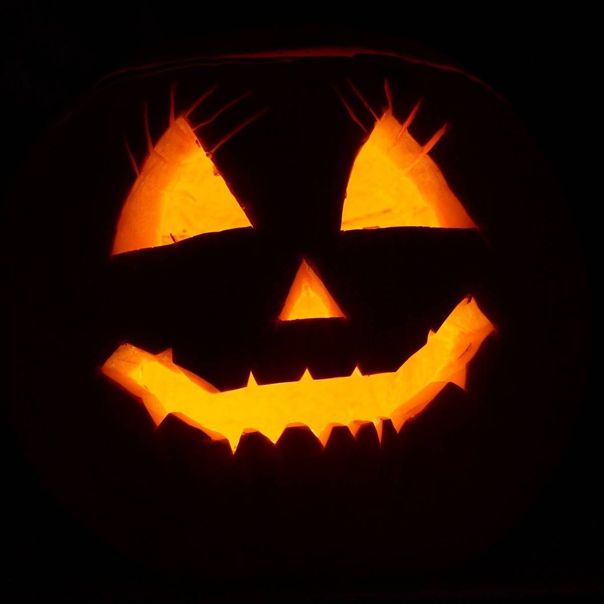 Halloween in Leverkusen: Das ist los in der Stadt dlvr.it/TFrVpy