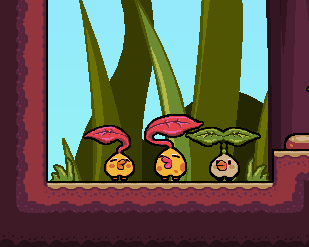 Havana24 tweet media