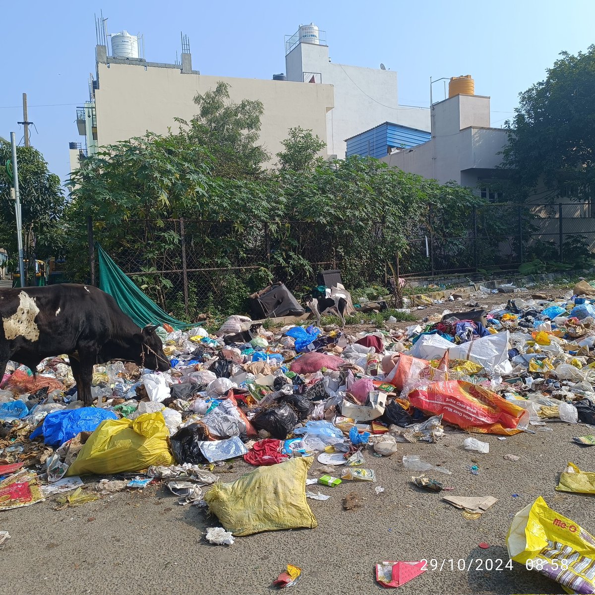 #GavipuramExtension #Mallathalli 
The streets are seeing more litter as collections in our area are inconsistent. Proper and regular waste collection is critical, not just to keep our surroundings clean but to protect our health and environment.
 <a href="/brandbengaluru1/">Brand Bengaluru ನಮ್ಮ ಬೆಂಗಳೂರು</a> <a href="/BBMPSWMSplComm/">BBMP_SWM Cell</a>