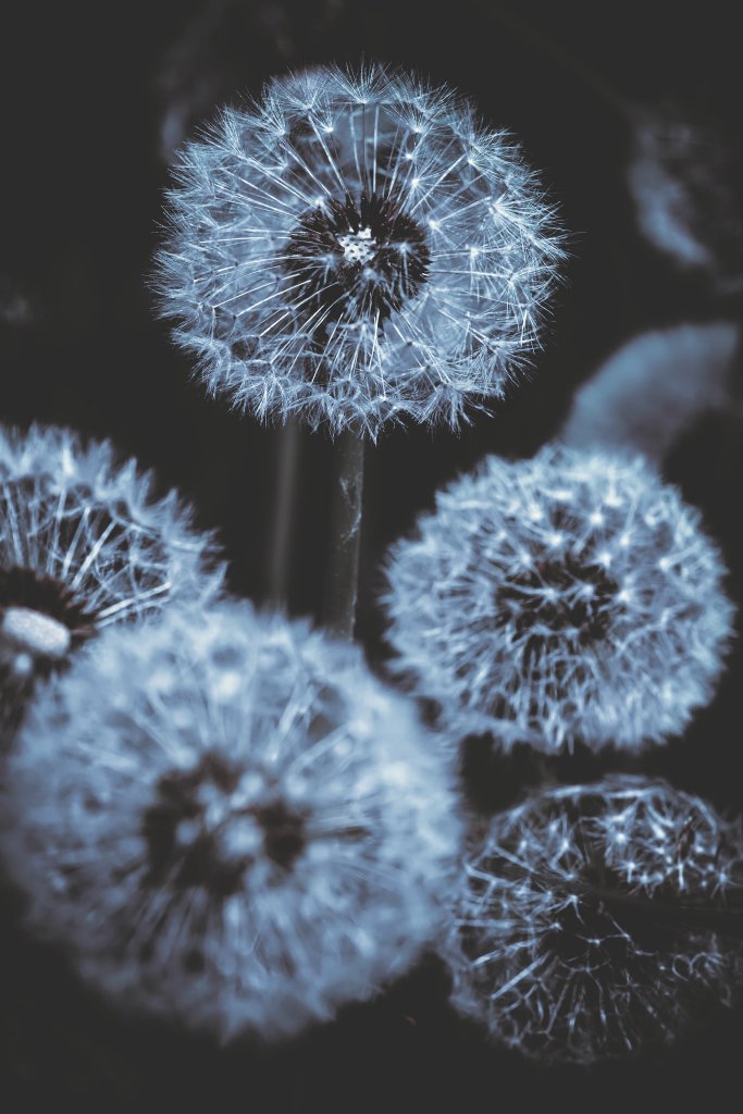 Semo (@designsemo) on Twitter photo 