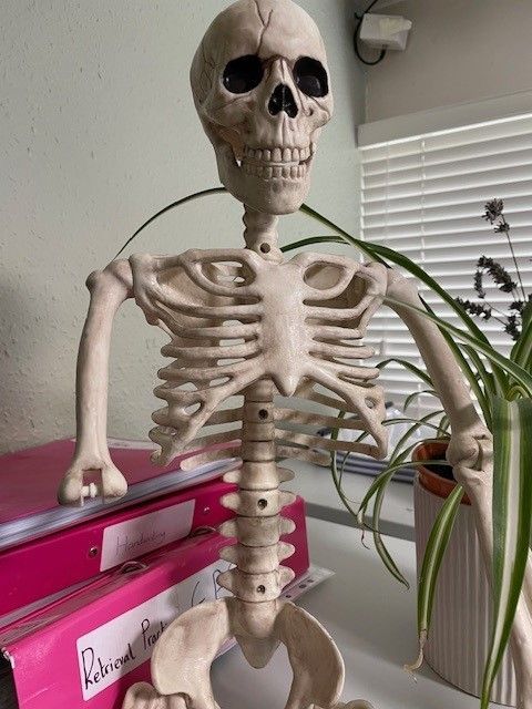 A KS3 updates day today. 

It's all got a little bit spooky in our KS3 building. With Hallowe'en this week decorations have gone up. How cool does the spider look?