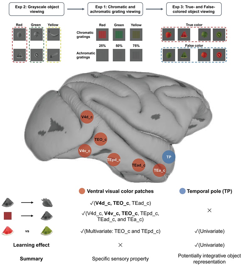 PLOS Biology tweet media