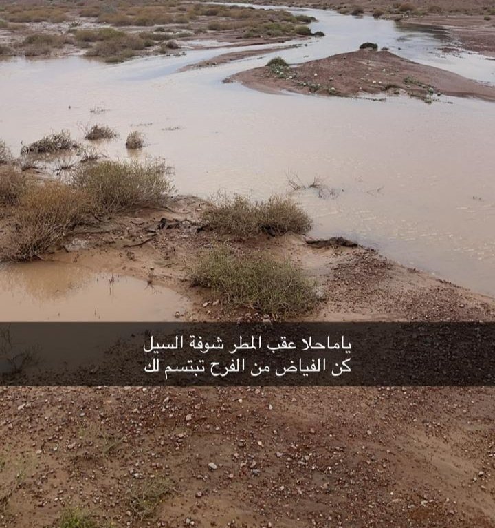 فالح راشد الرشيدي (@failh_1) on Twitter photo 