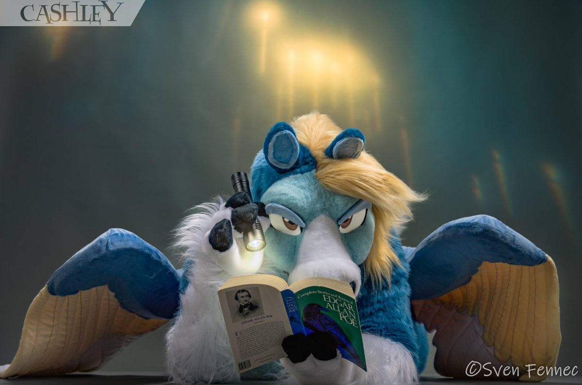 Cashley Cashley the Pegasus (@CashleyPegasus) / Posts / X