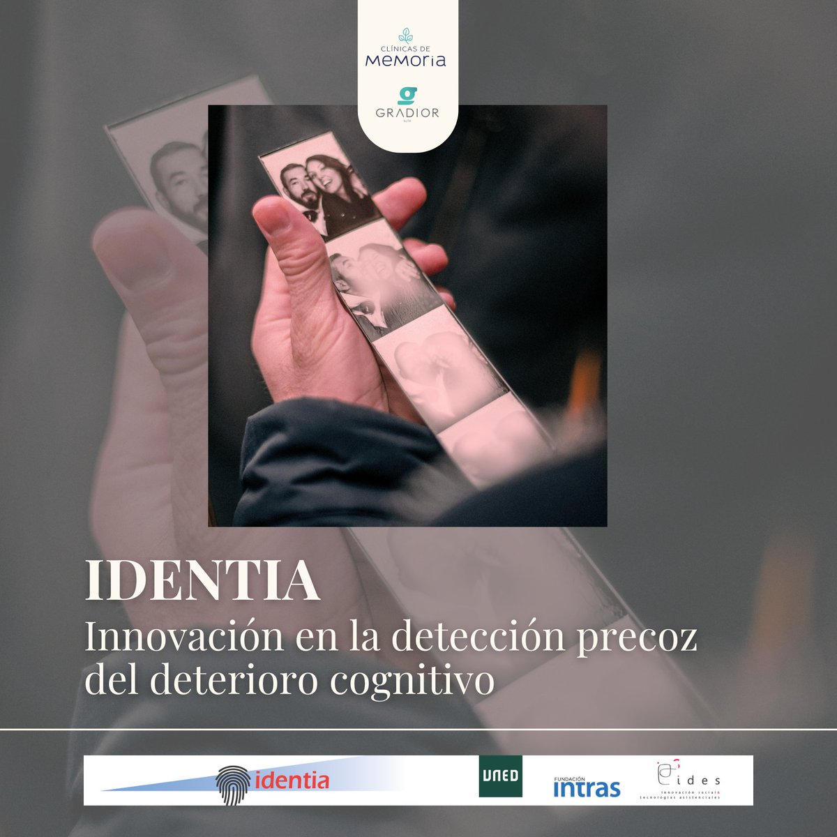 Gradior_Suite tweet media