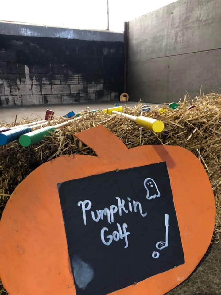 A busy weekend hosting PYO pumpkins. 
It's very disappointing when people think that we've brought them to the field from elsewhere!
#realfarming