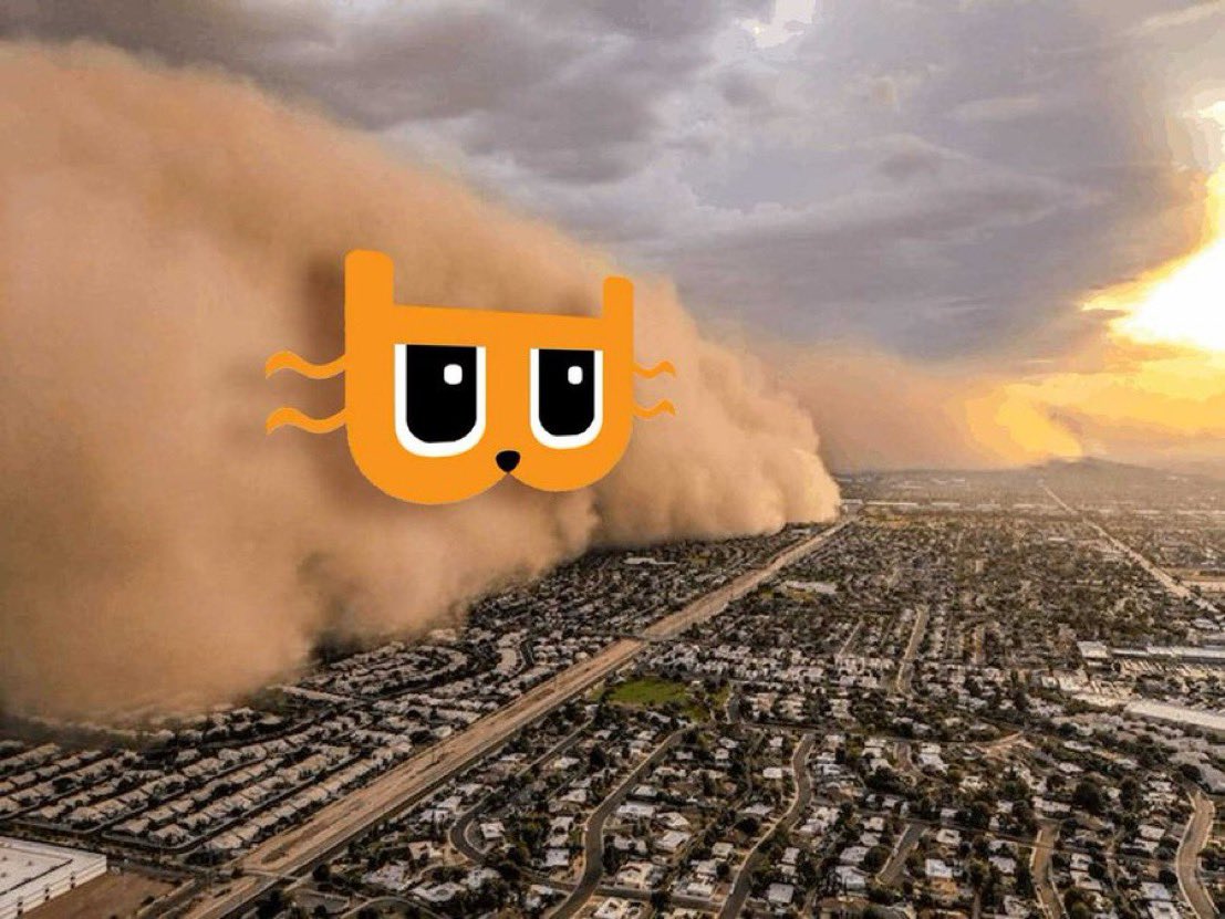 bweys_nft's tweet photo. It’s national cat day in the US today 29 Oct

So quick ode to my fav blockchain cats

4 on Bitcoin & 1 (2nd tweet) outside of it

1) @billydollarcat

the leading cat on Bitcoin by market cap

great mascot for Bitcoin during broader cat meme cycle

laser eyes for the masses & non-psychopaths

2) @GizmoImaginary

taken runes market by storm earlier this month

cute kitten beloved by Lepuppeteer & by a strong community 

3) @quantumcats 

mascot of OPCAT

pre wizards

4) @dmtnatcats 

first art collection where art was put together by Bitcoin properties

& where evolution of the collection depends entirely on emerging of certain Bitcoin properties in the future

part of a sub-eco (DMT / Bitmap) with religious believers

—

Bullish on all of these essentially