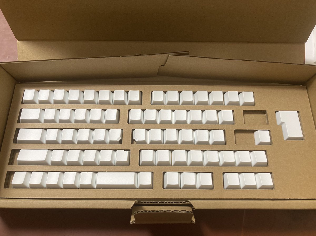 icchoco's tweet image. 「HHKB Studio（墨）」を買って、キーボード沼にハマり、約1年。。。

ついに買っちゃったぜ。。。
今月出た新色キーキャップ「雪」。

しかも、「無刻印」！

さて、これから装着しまーす！
（今月出たけど前々から作ってたからか、date2024-08なのね。）

#HHKB #HHKBstudio #HappyHackingKeyboard
