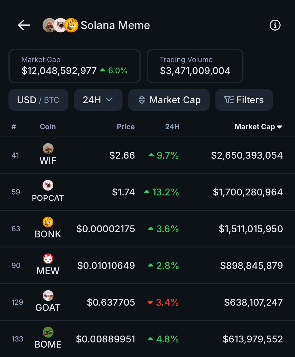 🚨BREAKING: The Total Market Cap of @Solana memecoins has surpassed $12  billion,a new all-time high.