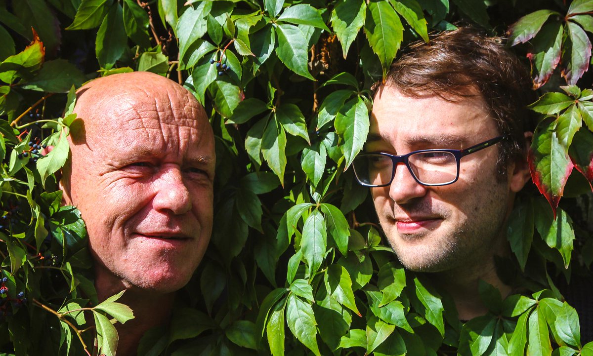 Interior tweet media