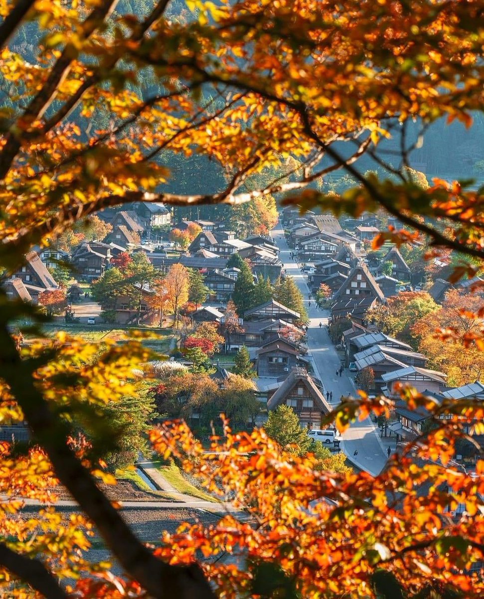 Thy_Huyen_Lotus's tweet photo. Shirakawago (็ฝๅท้ท) ๐ฏ๐ต๐๐
The autumn foliage starts appearing from late October to early November
#ExploreTheWorldWithUs #japantravel #japanexplorer #japantourism #japan #explorejapan #indaidexplorer
๐ธ: @kyoko1903 https://t.co/9LGAjywfWe