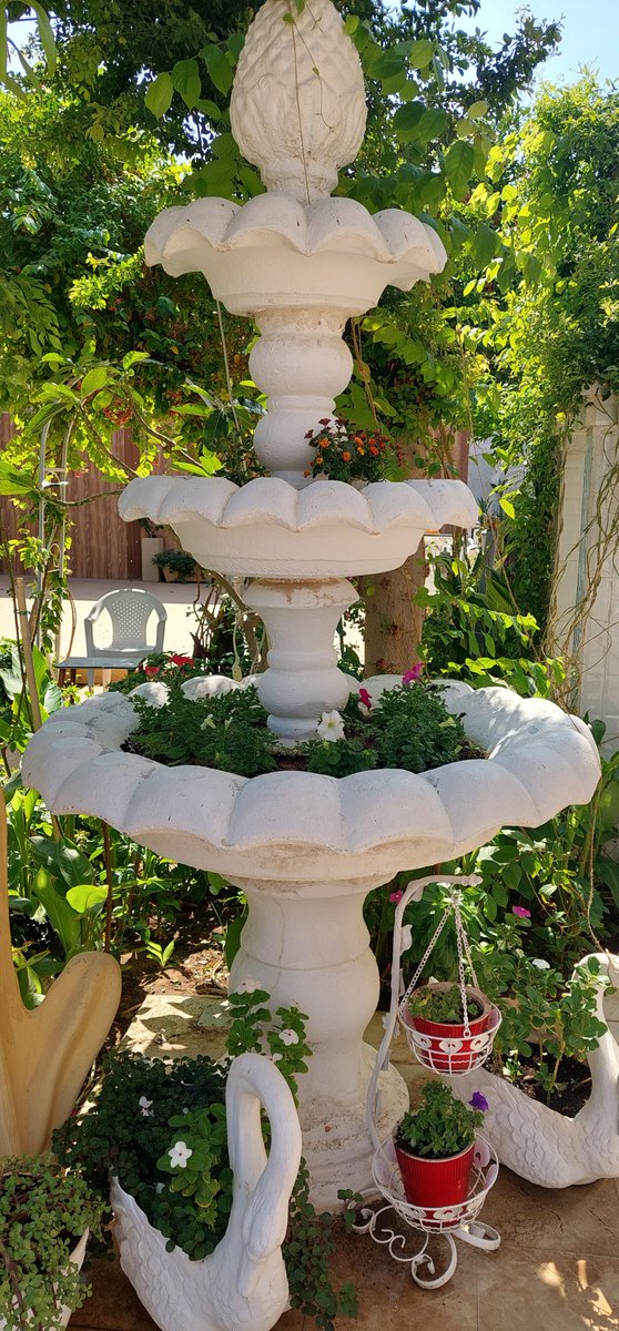 om_mohammad2010's tweet image. #صباحيات
هنيئا لمن يحمل اللطف في قلبه 
واللين في روحه ،، والجمال في أخلاقه 
صباح السعادة والرضا
🌹🌷⚘️